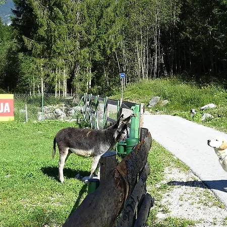 Vendégház Pr'kosnik *