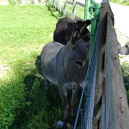 Penzion Pr'košnik *
