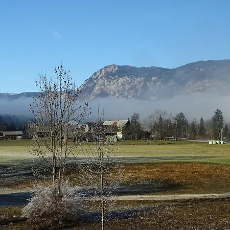 Penzion Pr'košnik *